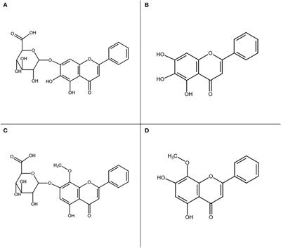 Electrostimulation improves plant growth and modulates the flavonoid profile in aeroponic culture of Scutellaria baicalensis Georgi